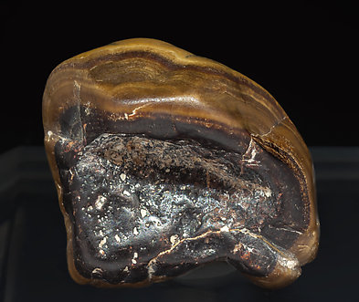 Casiterita (variedad 'wood tin'). Vista posterior